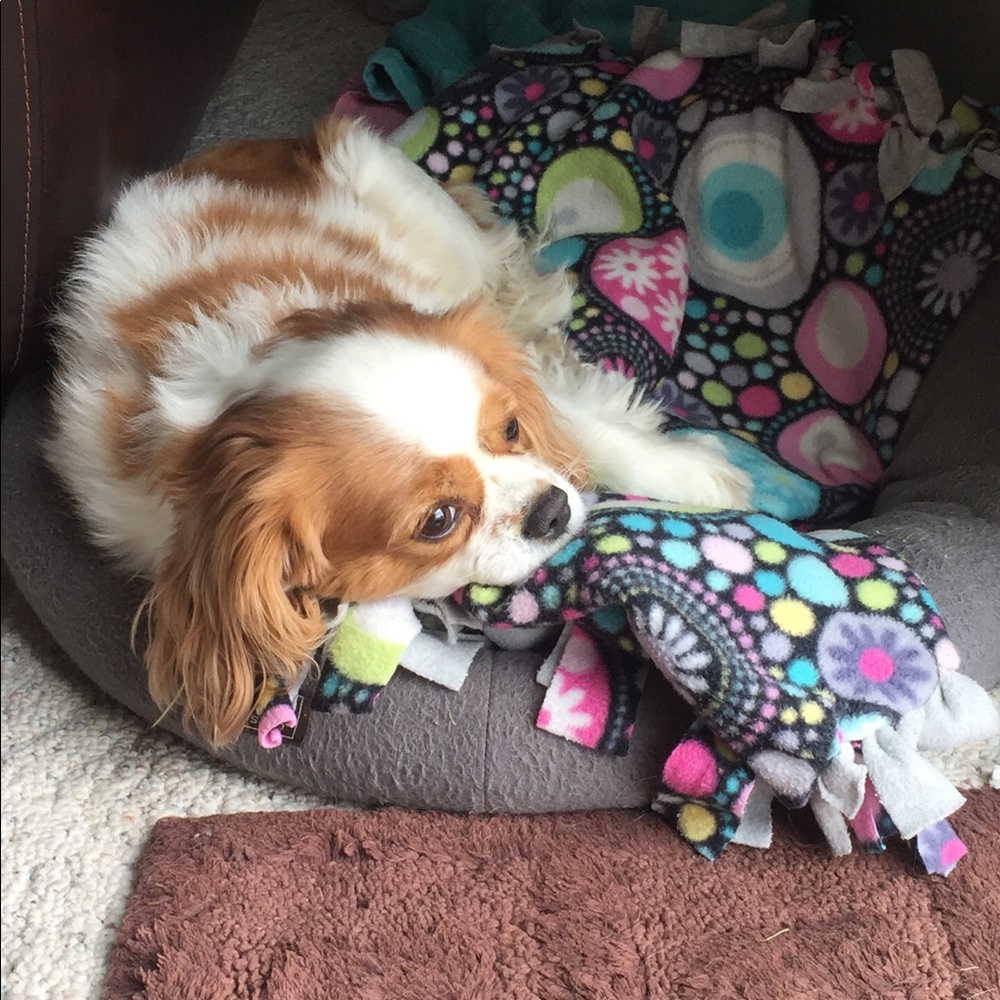 Meet your Posher, Anna